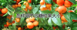 怎样调节沙糖桔果大小,第1图