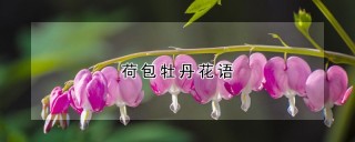 荷包牡丹花语,第1图