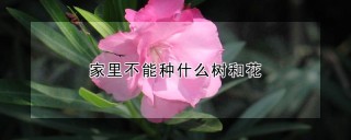 家里不能种什么树和花,第1图