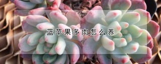 蓝苹果多肉怎么养,第1图