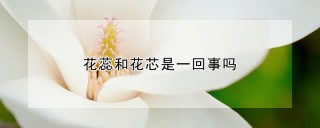 花蕊和花芯是一回事吗,第1图