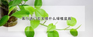 客厅进门玄关摆什么绿植盆栽,第1图