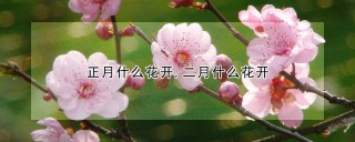 正月什么花开,二月什么花开,第1图