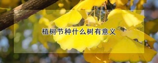 植树节种什么树有意义,第1图