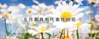 五月最具有代表性的花,第1图