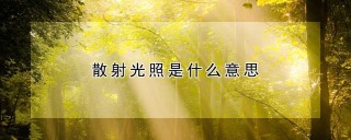 散射光照是什么意思,第1图