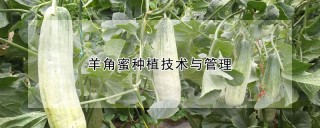 羊角蜜种植技术与管理,第1图