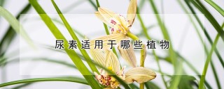 尿素适用于哪些植物,第1图