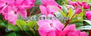 凤仙花长高缓慢可能与什么有关,第1图