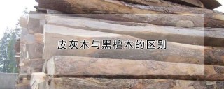 皮灰木与黑檀木的区别,第1图