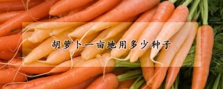 胡萝卜一亩地用多少种子,第1图