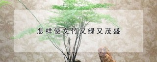 怎样使文竹又绿又茂盛,第1图