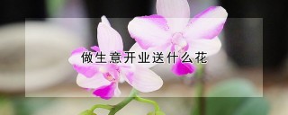 做生意开业送什么花,第1图