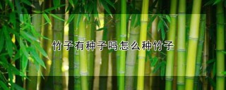 竹子有种子吗怎么种竹子,第1图