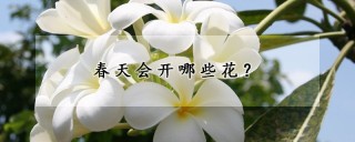 春天会开哪些花?,第1图