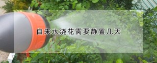 自来水浇花需要静置几天,第1图