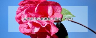 春天开的花有哪些?(花名、颜色),第1图