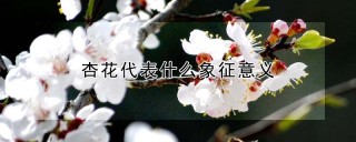 杏花代表什么象征意义,第1图