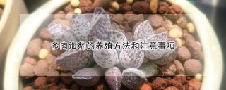 多肉海豹的养殖方法和注意事项,第1图