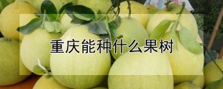 重庆能种什么果树,第1图