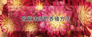 欧紫法师的养殖方法,第1图