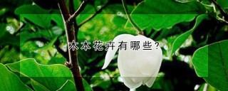 木本花卉有哪些?,第1图