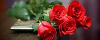 传奇红玫瑰的花语,第1图