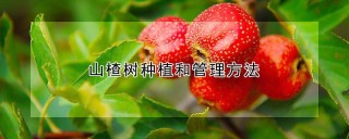 山楂树种植和管理方法,第1图