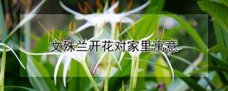 文殊兰开花对家里寓意,第1图