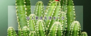 仙人掌多久浇水一次,第1图