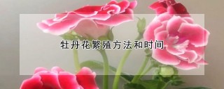 牡丹花繁殖方法和时间,第1图