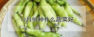 12月份种什么蔬菜好,第1图