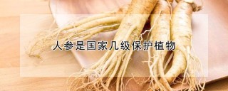 人参是国家几级保护植物,第1图