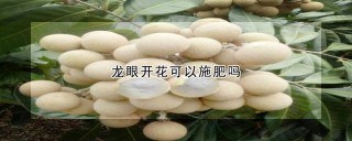 龙眼开花可以施肥吗,第1图