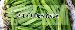 基本不用浇水的蔬菜,第1图