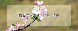 海棠花的外形,颜色,特点,第1图