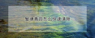 蟹塘青苔怎么快速清除,第1图