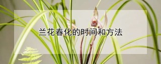 兰花春化的时间和方法,第1图