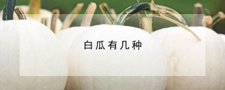 白瓜有几种,第1图