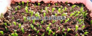 怎样给土壤杀菌消毒,第1图