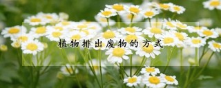 植物排出废物的方式,第1图