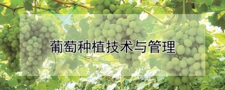 葡萄种植技术与管理,第1图