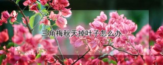 三角梅秋天掉叶子怎么办,第1图