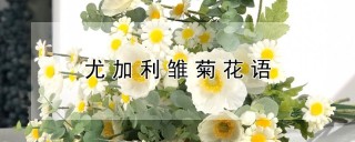 尤加利雏菊花语,第1图