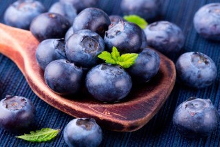 夏普蓝蓝莓品种介绍,第3图