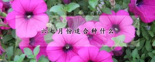 六七月份适合种什么,第1图