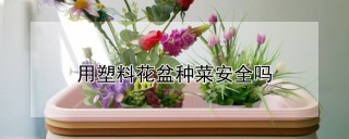 用塑料花盆种菜安全吗,第1图