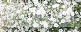 满天星怎么醒花,第1图