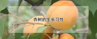 杏树的生长习性,第1图