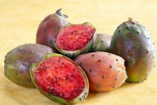 火龙果是仙人掌的果实吗，两种属性绝然不同的植物,第4图